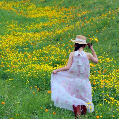 新疆乌鲁木齐+北疆8日7晚跟团游