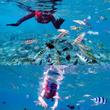 马来西亚+敦沙卡兰海洋公园11日10晚私家团