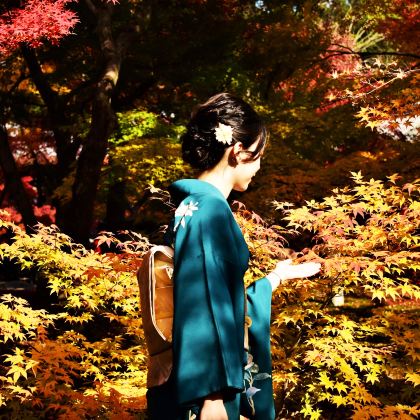 日本东京+大阪+京都+奈良+三重郡6日5晚跟团游