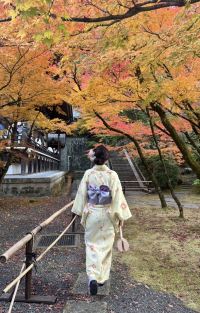日本东京+富士山5日4晚拼小团图片