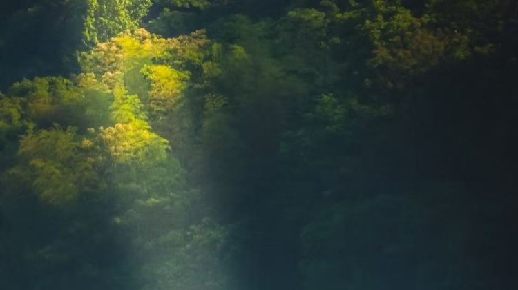 3-Day Gaoyi Mountain Tourism Resort + Dongjiang Lake Tourist Area