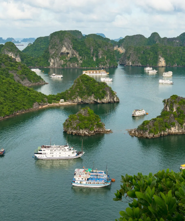 2D1N • Halong Bay Happy Tour - Surprise Cave - Paradise Island - Hang Luon - Private Car Transfer - Full-Day Butler Online
