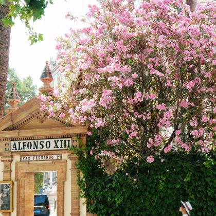 西班牙巴塞罗那+马德里+塞维利亚+格拉纳达12日11晚私家团