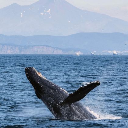 冰岛+挪威+瑞典+芬兰+丹麦13日跟团游