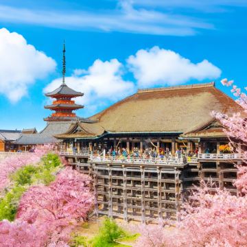 日本大阪+京都5日4晚私家团