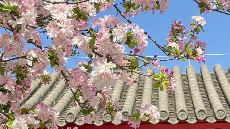 3D2N · Private Tours ·  The Palace Museum , Mutianyu Great Wall - just pure fun. Enjoy a relaxed, activity-focused group experience with English-speaking guide service for on-site commentary