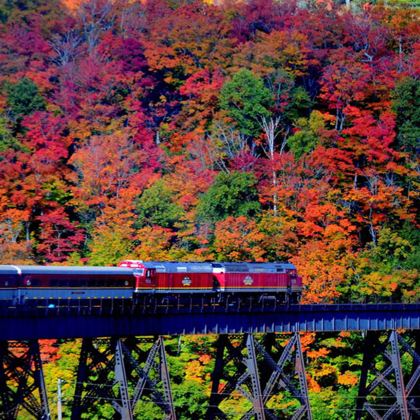 加拿大安大略省苏圣玛丽+阿格瓦峡谷+格雷文赫斯特+尼亚加拉瀑布5日4晚跟团游