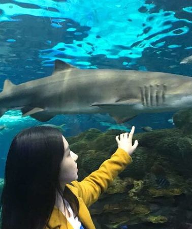 3D2N • 3 Day and 2 Night Tour: Toronto, 1000 Islands, and Niagara Falls