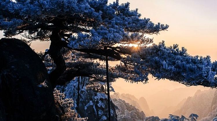 2-Day 2-Day Huangshan Private Tour: Yellow Mountain and Xidi Ancient Village