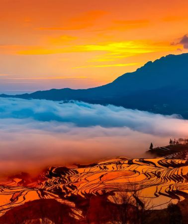 5日4晚 • 雲南昆明＋建水＋元陽＋彌勒＋撫仙湖「秋冬雲巔水景，拍光影大片｜聖誕預售」品牌專車PURE FUN＋穩健老司機＆酒店隨心選