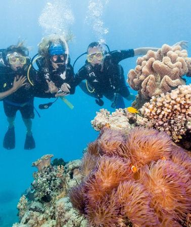 7D6N • 7 Day Brisbane to Cairns Boutique Whitsundays Great Barrier Reef