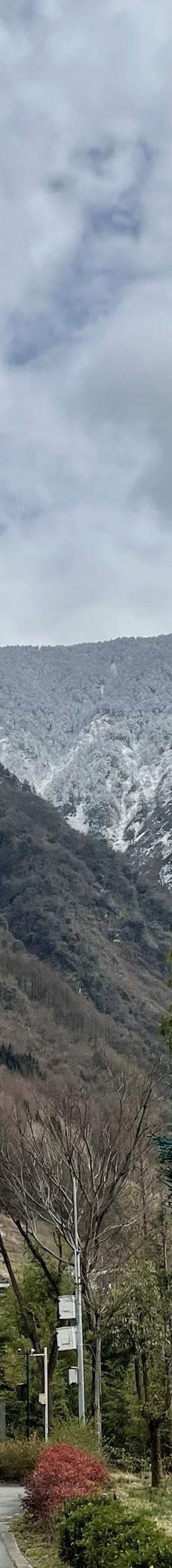 卧龙中华大熊猫苑神树坪基地-汶川