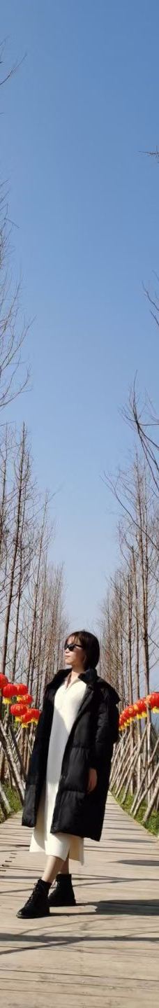 驷马水乡玻璃桥景区-平昌