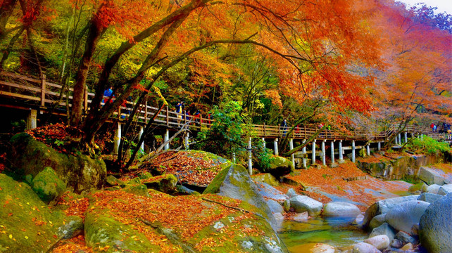 九寨沟归来不看水？这份避坑指南请收好！