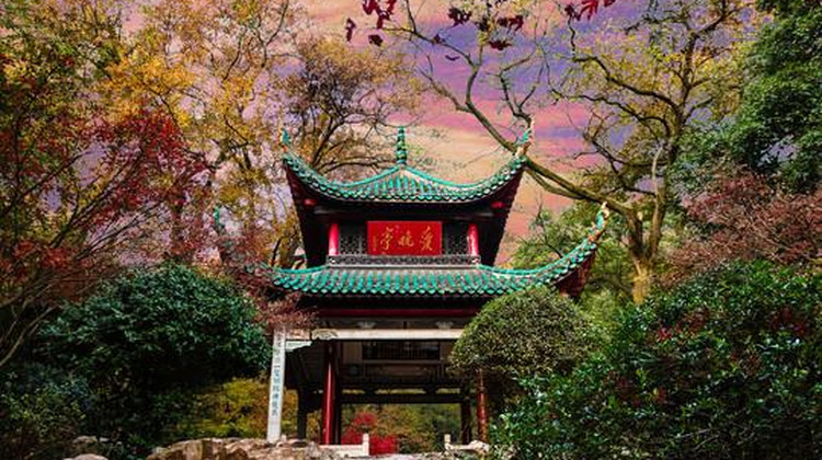 衡阳旅行社门店最新服务升级，国悦旅游带你玩转湖南