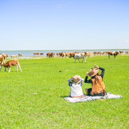 中国内蒙古锡林郭勒盟锡林郭勒盟草原+锡盟西乌旗乌兰五台景区+达达线+热阿线+游牧部落+阿斯哈图石林景区5日4晚私家团