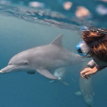 马达加斯加+留尼汪（法属）+毛里求斯+塞舌尔16日15晚跟团游