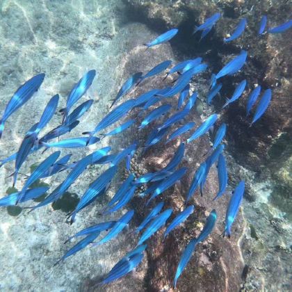 泰国曼谷+芭堤雅+清迈7日6晚私家团