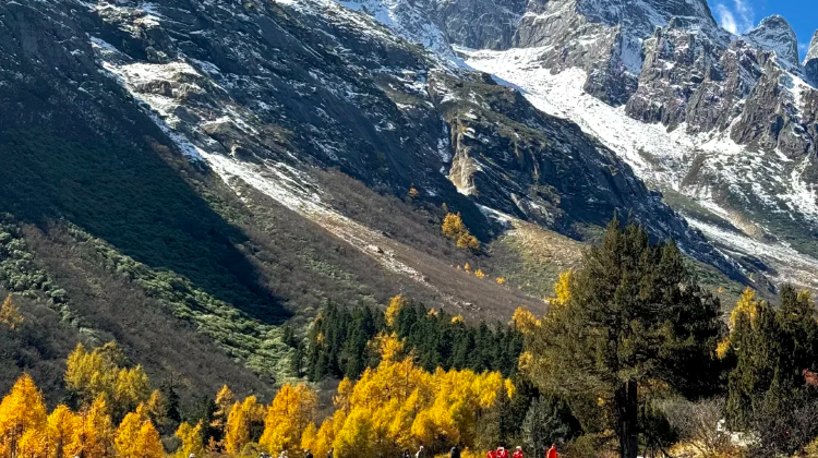 8-day 7-night · Private Tour · Chengdu + Jiuzhaigou + Bipenggou + Dujiangyan