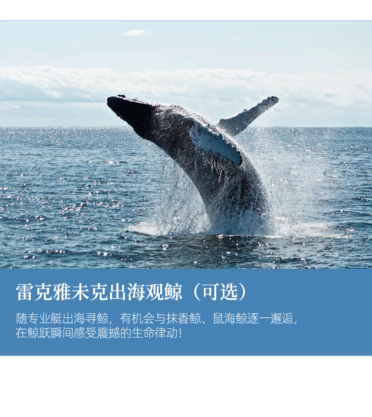 雷克雅未克