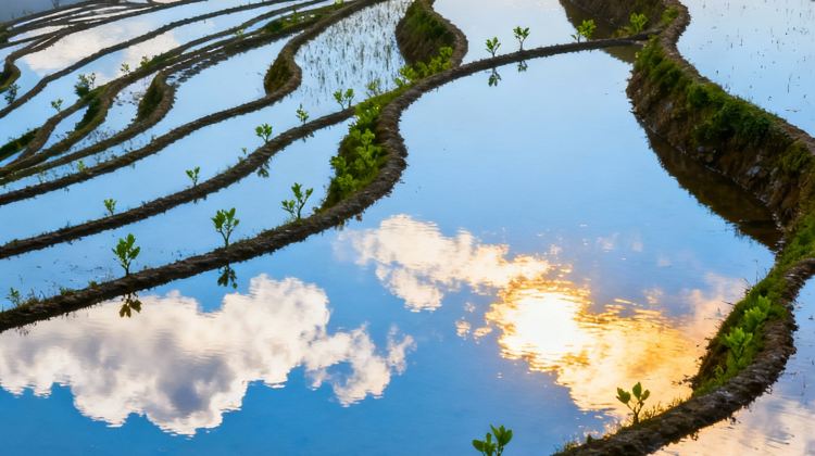 6-Day Guilin Panorama Tours: Guilin + Yangshuo + Li River Scenic Area + Longji Rice Terraces | 10 Pax En Group | 5-star Hotel | International Tourists Only