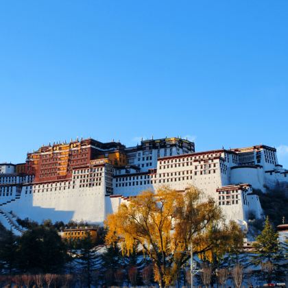 拉萨+林芝+布达拉宫+大昭寺+巴松措+雅鲁藏布大峡谷+羊卓雍错9日6晚私家团