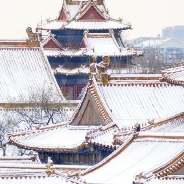 沈阳+哈尔滨5日4晚拼小团