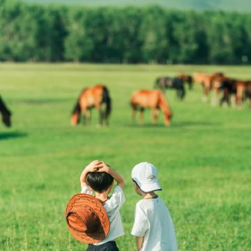 北戴河+避暑山庄+坝上+木兰围场+乌兰布统旅游区6日5晚拼小团