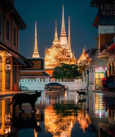6D5N • Thailand Bangkok & Pattaya Luxury 9‑Person Small Group, Wyndham & Marriott 5‑star stays, Elephant Riding, Crocodile Fishing, Live‑fire Shooting, Airport Transfers Included