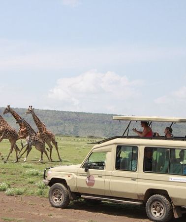 6D5N • 6 Days Serengeti Safari(hiking waterfalls &coffee tour)