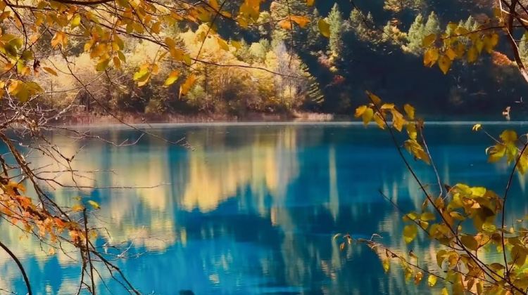 4-Day All-Inclusive Trip: Nature, Pandas, Culture & Snow Peaks at Jiuzhaigou, Huanglong, Panda Valley, Dujiangyan, Mt. Siguniang, 5-diamond Hotel Stay
