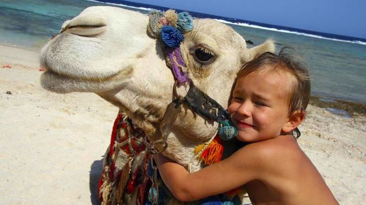 12D11N · Group Tours · Egyptian Family Adventure  Egyptian Family Adventure 