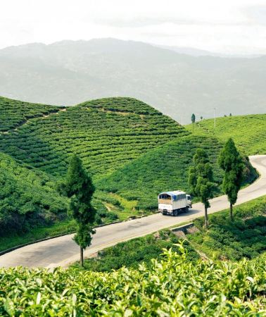 13D12N • Tinjhure: 11-Day Wellness Trek with Yoga and Meditation