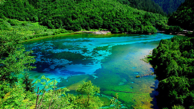 九寨沟旅行社哪家好？2025年最新五强口碑榜单深度解析