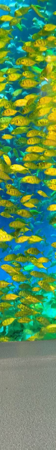 合肥海洋世界-合肥