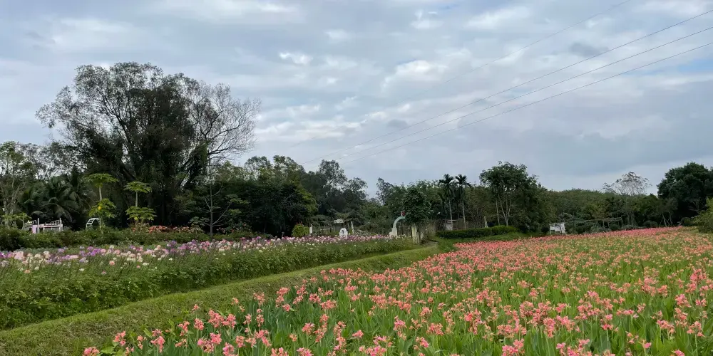 永安旅遊