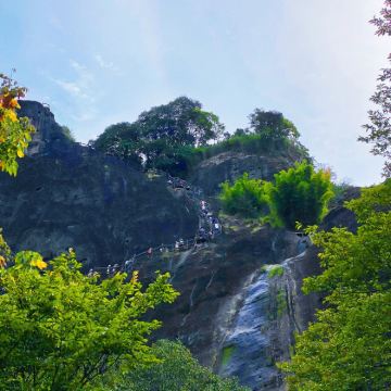 福建武夷山+九曲溪竹筏漂流+《印象大红袍》演出3日2晚私家团