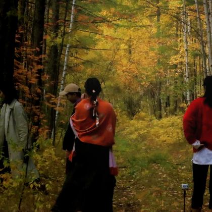 呼伦贝尔+额尔古纳+满洲里5日4晚拼小团