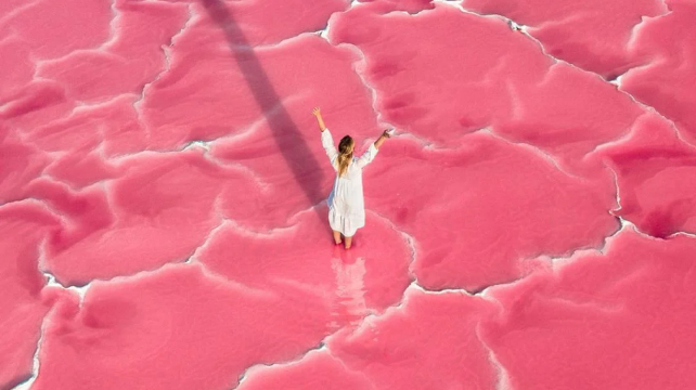 <8天>【8人团·高铁直达南法】·巴黎+戛纳+阿维尼翁+尼斯+圣特罗佩+普罗旺斯南法小镇+高德古城+塞南克修道院+薰衣草花田(季节限定)+艾格莫尔特粉红盐湖+住一晚五钻古堡酒店