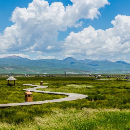 甘南+扎尕那+黄河九曲第一湾+拉卜楞寺+官鹅沟大景区+麦积山石窟+甘加秘境+炳灵寺世界文化遗产旅游区+崆峒山10日9晚私家团