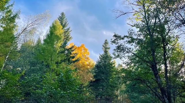 5-Day Jilin Private Tour from Changchun·Changbai Mountain, Yanji, Tumen Border | Korean Ethnic Culture