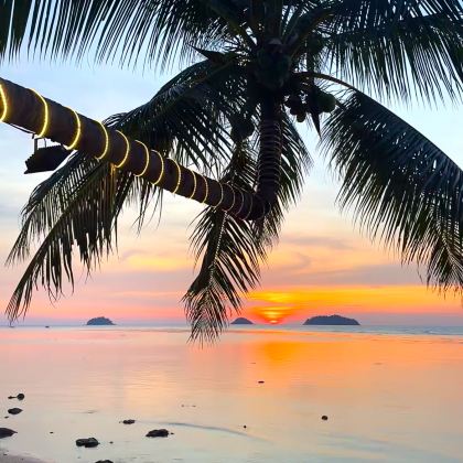 曼谷+象岛+芭堤雅6日5晚拼小团