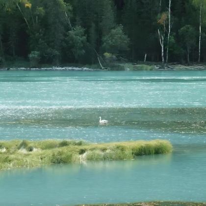 澳大利亚+新西兰12日10晚拼小团