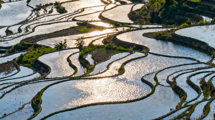 4D3N · Group Tours · International Tourists Only 'All Tips Included' China+ Guilin + Yangsho + Li River Scenic Area + Longji Rice Terraces