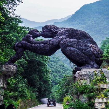 神农架+长江三峡+三峡大坝+宜昌5日4晚私家团