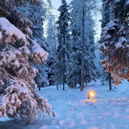 芬兰列维+伊纳里+萨尼色尔卡+挪威希尔克内斯5日4晚私家团