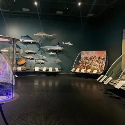 达尔文+达尔文军事博物馆+Lee Point Beach5日4晚拼小团