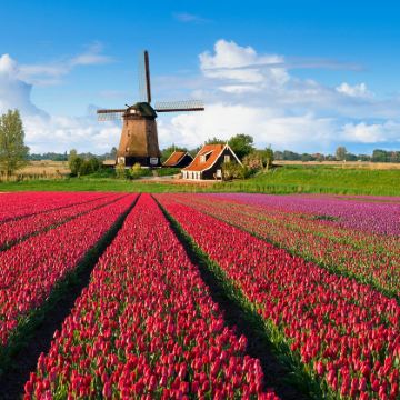 荷兰鹿特丹+海牙+阿姆斯特丹+卢森堡+比利时布鲁塞尔+布鲁日11日10晚私家团