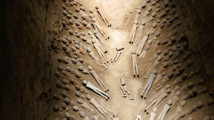 5D4N · Group Tours ·  Terracotta Army + Xi'an City Wall + Xi'an Museum + Han Yangling National Archaeological Site Park, a tour for history buffs, museum lovers, and cultural explorers.