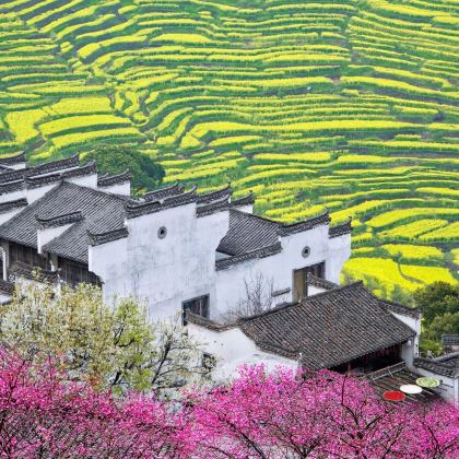 江西南昌+庐山风景名胜区+景德镇+婺源+三清山风景区5日4晚跟团游